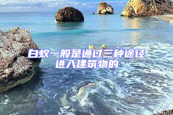 白蟻一般是通過三種途徑進(jìn)入建筑物的