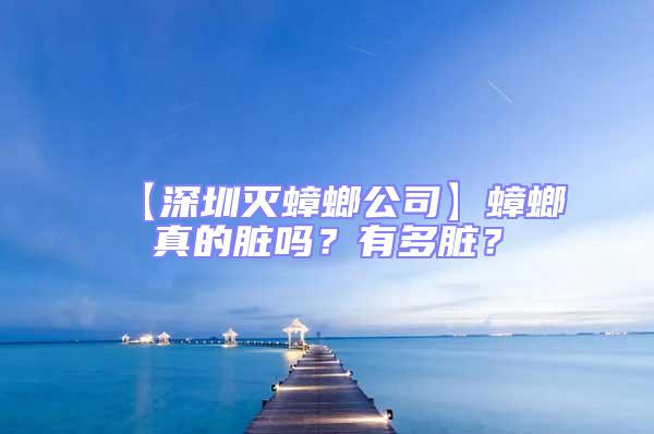 【深圳滅蟑螂公司】蟑螂真的臟嗎？有多臟？