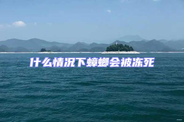 什么情況下蟑螂會被凍死