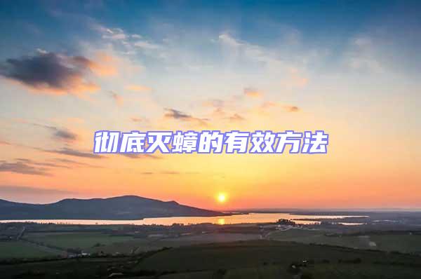 徹底滅蟑的有效方法