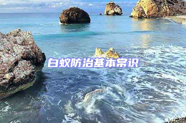 白蟻防治基本常識