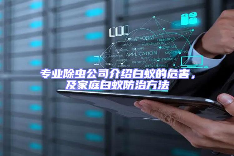 專業除蟲公司介紹白蟻的危害，及家庭白蟻防治方法