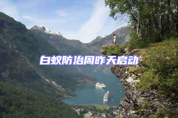 白蟻防治周昨天啟動