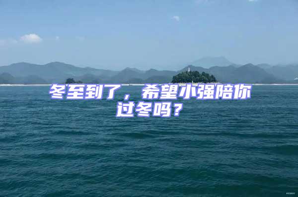 冬至到了，希望小強(qiáng)陪你過(guò)冬嗎？