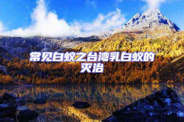 常見白蟻之臺灣乳白蟻的滅治