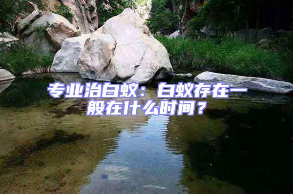 專業(yè)治白蟻：白蟻存在一般在什么時(shí)間？