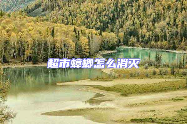 超市蟑螂怎么消滅