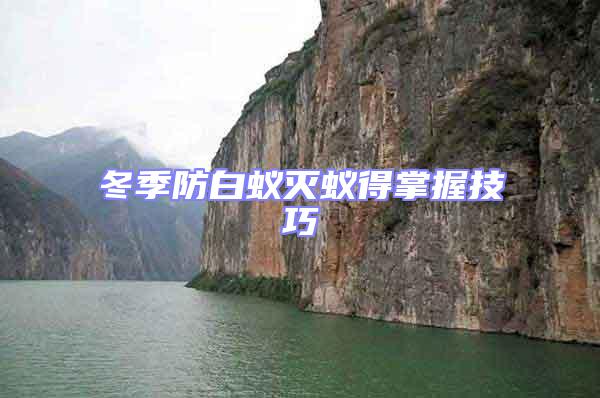 冬季防白蟻滅蟻得掌握技巧