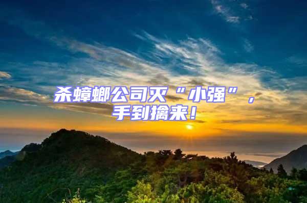 殺蟑螂公司滅“小強”，手到擒來！