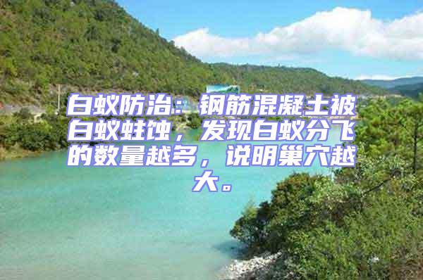 白蟻防治：鋼筋混凝土被白蟻蛀蝕，發現白蟻分飛的數量越多，說明巢穴越大。