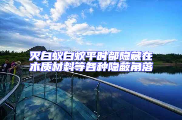 滅白蟻白蟻平時都隱藏在木質(zhì)材料等各種隱蔽角落