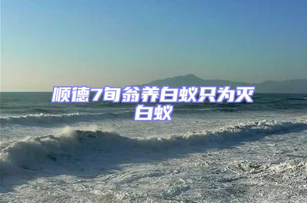 順德7旬翁養(yǎng)白蟻只為滅白蟻
