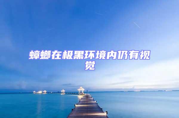 蟑螂在極黑環境內仍有視覺