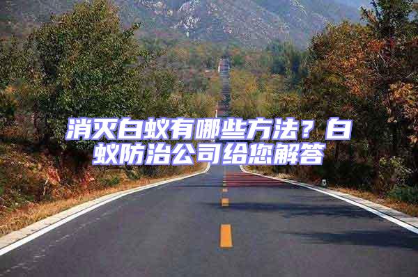 消滅白蟻有哪些方法？白蟻防治公司給您解答
