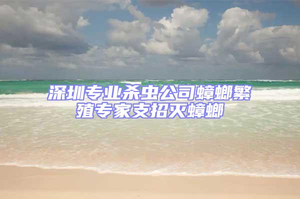 深圳專業殺蟲公司蟑螂繁殖專家支招滅蟑螂