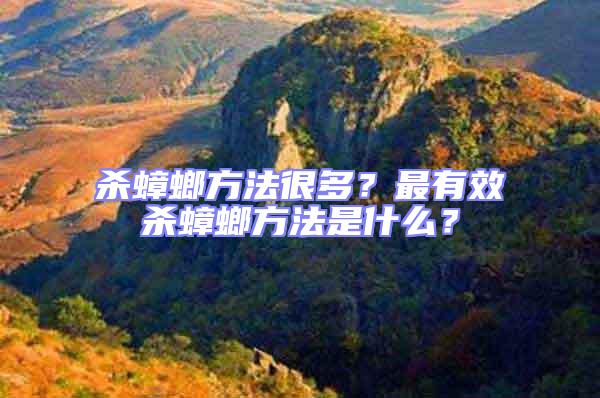 殺蟑螂方法很多？最有效殺蟑螂方法是什么？