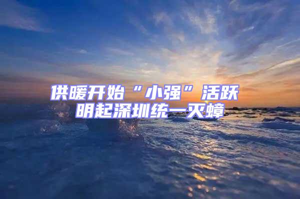 供暖開始“小強”活躍 明起深圳統一滅蟑
