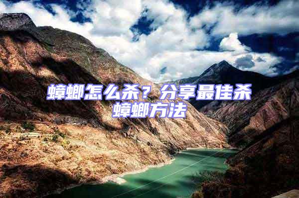 蟑螂怎么殺？分享最佳殺蟑螂方法