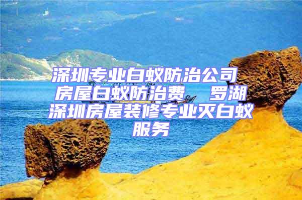 深圳專業白蟻防治公司 房屋白蟻防治費  羅湖深圳房屋裝修專業滅白蟻服務