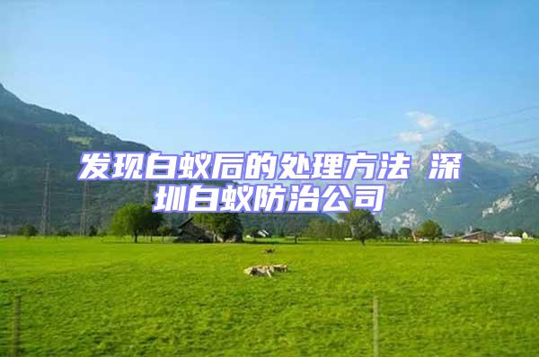 發現白蟻后的處理方法┋深圳白蟻防治公司┋