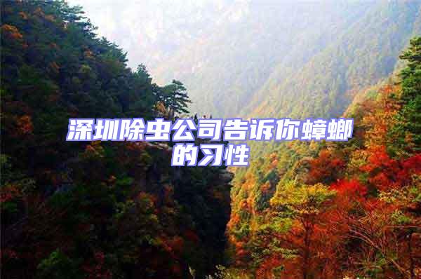深圳除蟲公司告訴你蟑螂的習性