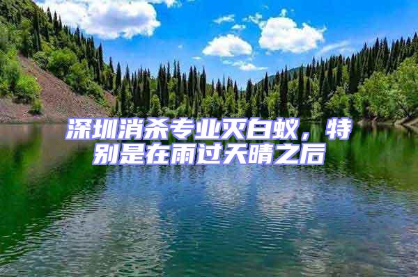 深圳消殺專業滅白蟻，特別是在雨過天晴之后