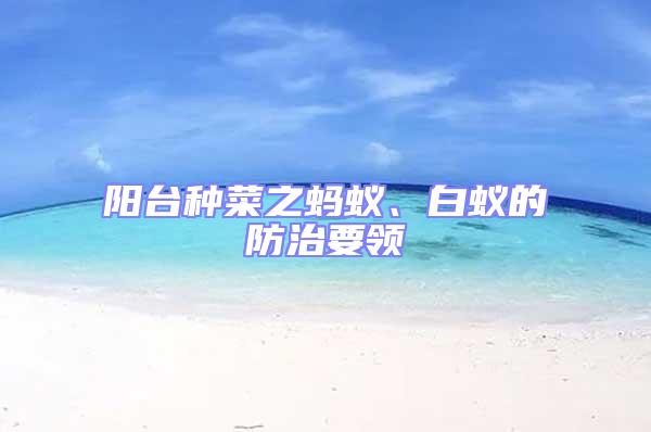 陽臺種菜之螞蟻、白蟻的防治要領
