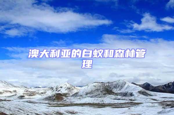 澳大利亞的白蟻和森林管理