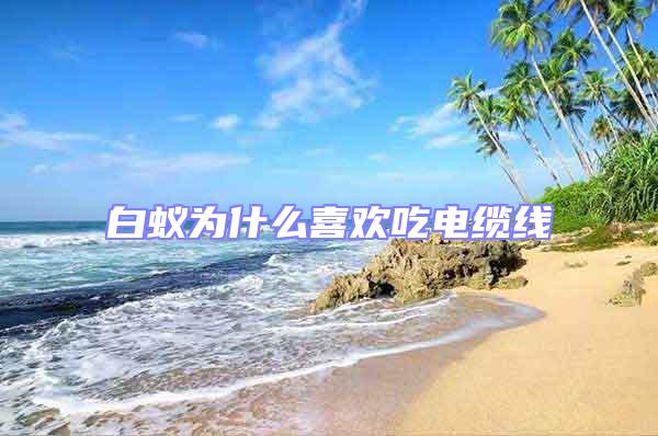 白蟻為什么喜歡吃電纜線