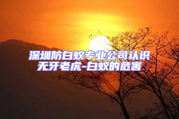 深圳防白蟻專業公司認識無牙老虎-白蟻的危害