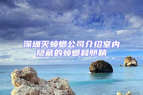 深圳滅蟑螂公司介紹室內隱藏的蟑螂和卵鞘