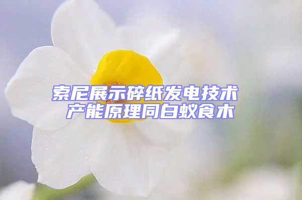索尼展示碎紙發電技術 產能原理同白蟻食木