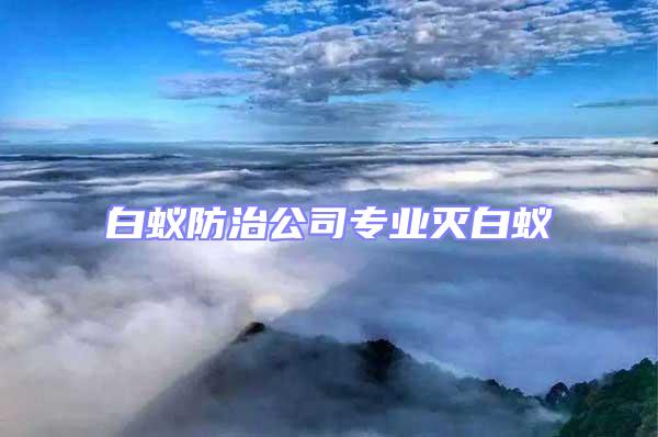 白蟻防治公司專業(yè)滅白蟻