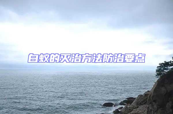 白蟻的滅治方法防治要點(diǎn)