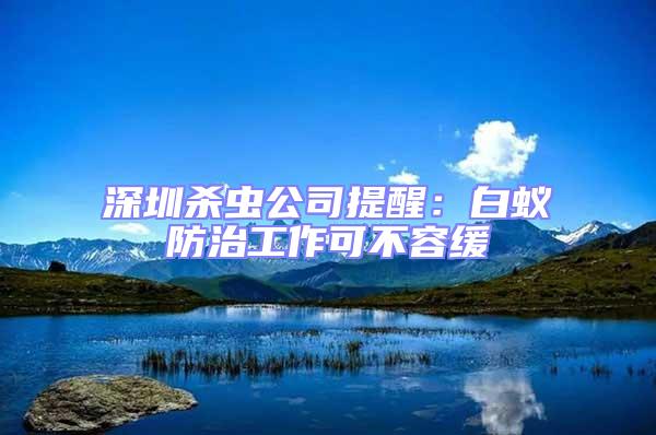 深圳殺蟲(chóng)公司提醒：白蟻防治工作可不容緩