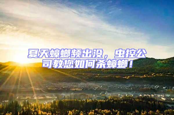 夏天蟑螂頻出沒，蟲控公司教您如何殺蟑螂！