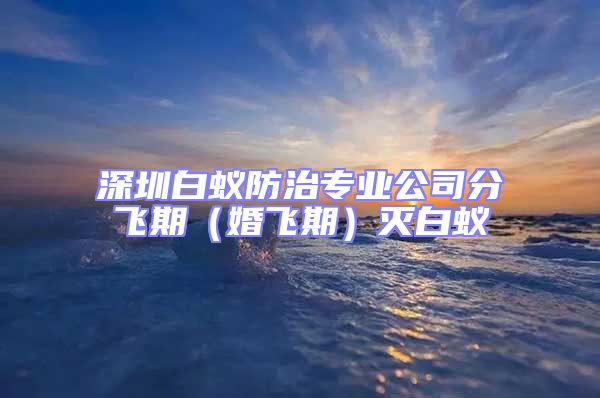 深圳白蟻防治專業公司分飛期（婚飛期）滅白蟻