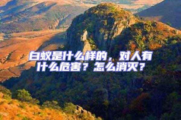 白蟻是什么樣的，對人有什么危害？怎么消滅？
