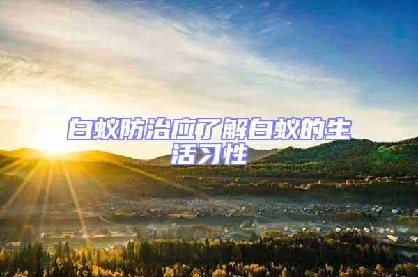 白蟻防治應了解白蟻的生活習性
