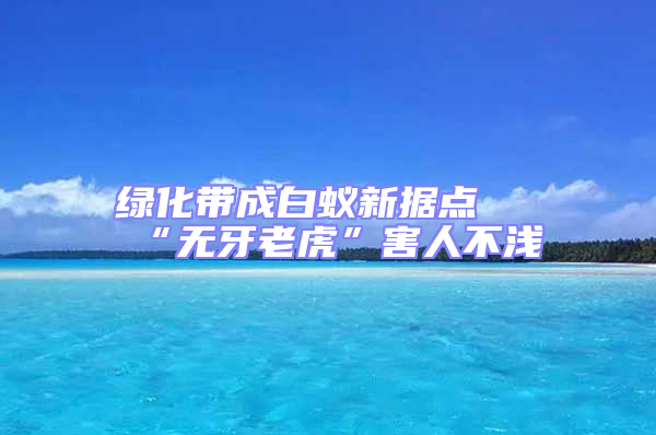 綠化帶成白蟻新據點 “無牙老虎”害人不淺