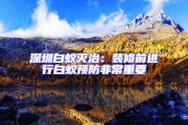 深圳白蟻滅治：裝修前進行白蟻預防非常重要