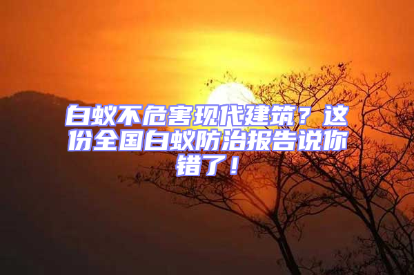 白蟻不危害現(xiàn)代建筑？這份全國白蟻防治報告說你錯了！
