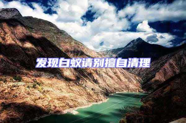 發(fā)現(xiàn)白蟻請(qǐng)別擅自清理