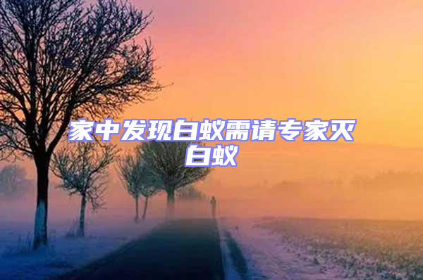 家中發(fā)現白蟻需請專家滅白蟻
