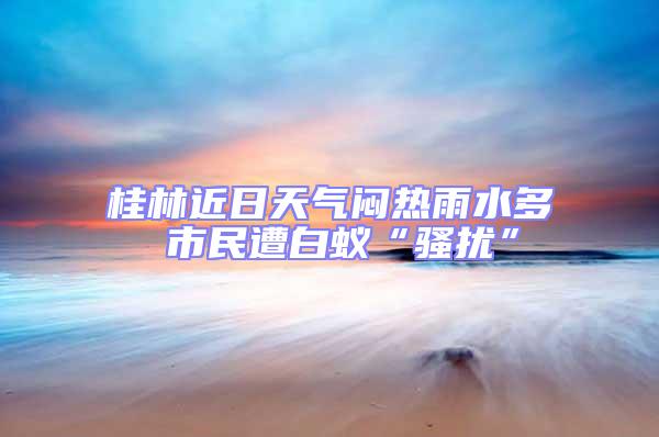 桂林近日天氣悶熱雨水多 市民遭白蟻“騷擾”