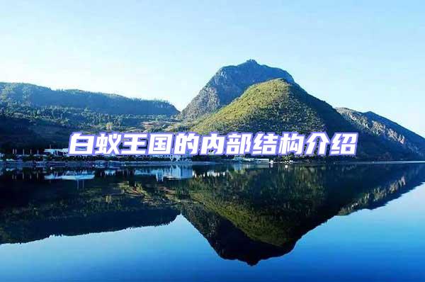 白蟻王國的內部結構介紹