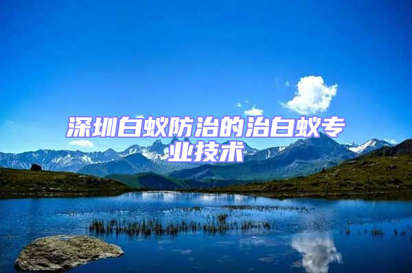 深圳白蟻防治的治白蟻專業技術