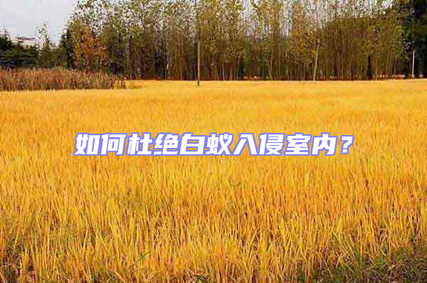 如何杜絕白蟻入侵室內？