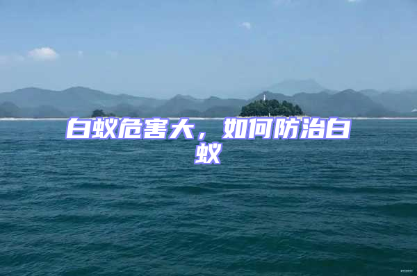 白蟻危害大，如何防治白蟻