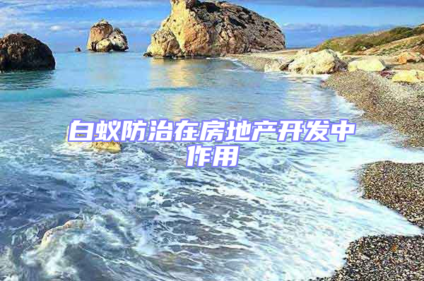 白蟻防治在房地產開發中作用